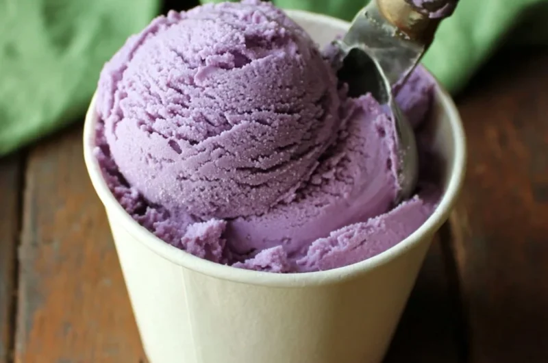 Delicious blueberry ice cream in a bowl garnished with fresh blueberries