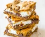 Chocolate Chip Cookie Bars