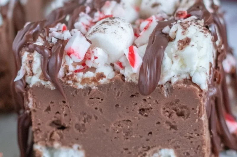 Delicious hot chocolate peppermint fudge on a festive table.